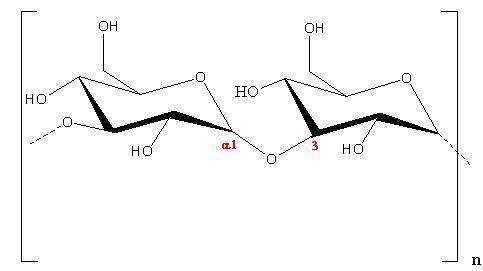 Alpha-1-3-glucan-Fig-1