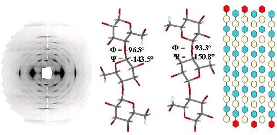 Cellulose-Fig-15