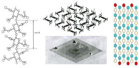 Cellulose-Fig-16