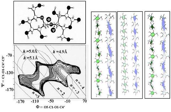 Cellulose-Fig-6