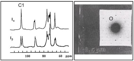 Cellulose-Fig-9