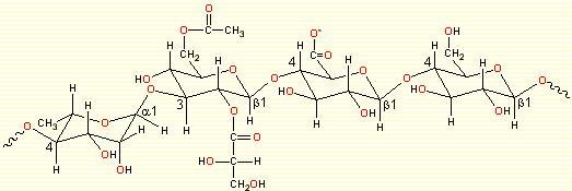 Gellan-Fig-1