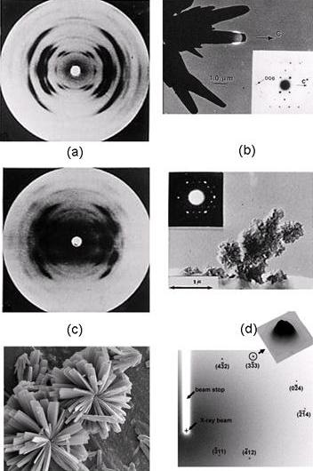 Starch-Fig-6