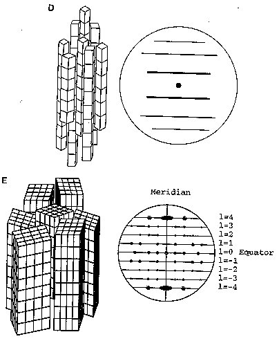 xray-fig2de